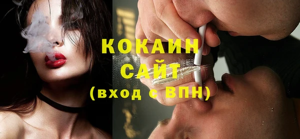 индика Зеленокумск
