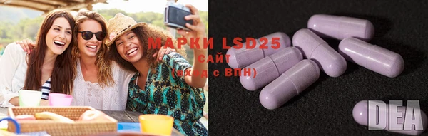 индика Зеленокумск