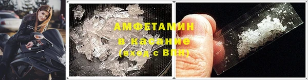 индика Зеленокумск