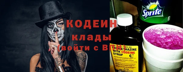 индика Зеленокумск