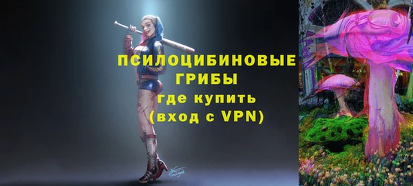 индика Зеленокумск