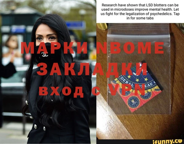 индика Зеленокумск