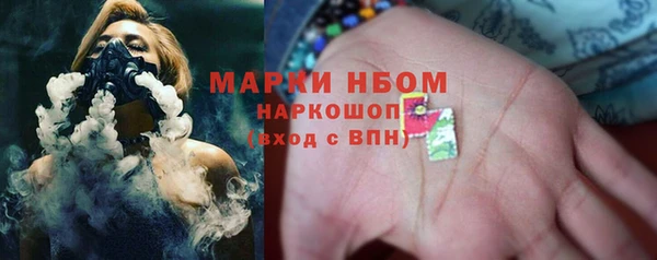 индика Зеленокумск