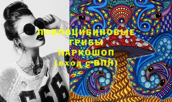бошки Зеленодольск
