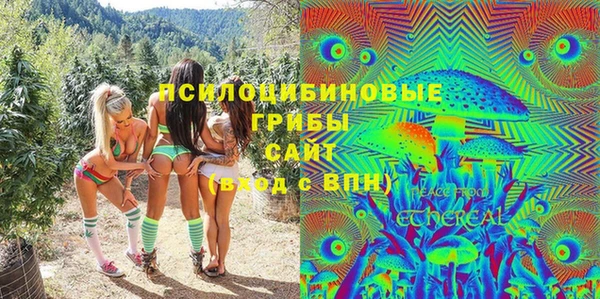бошки Зеленодольск