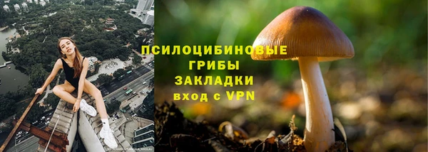 скорость Зерноград